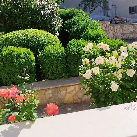 Apartment One-bedroom With Terrace A2 *