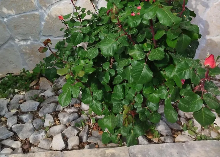 شقة One-bedroom With Terrace A2 تروغير